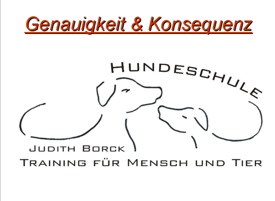 Leseprobe - Genauigkeit und Konsequenz