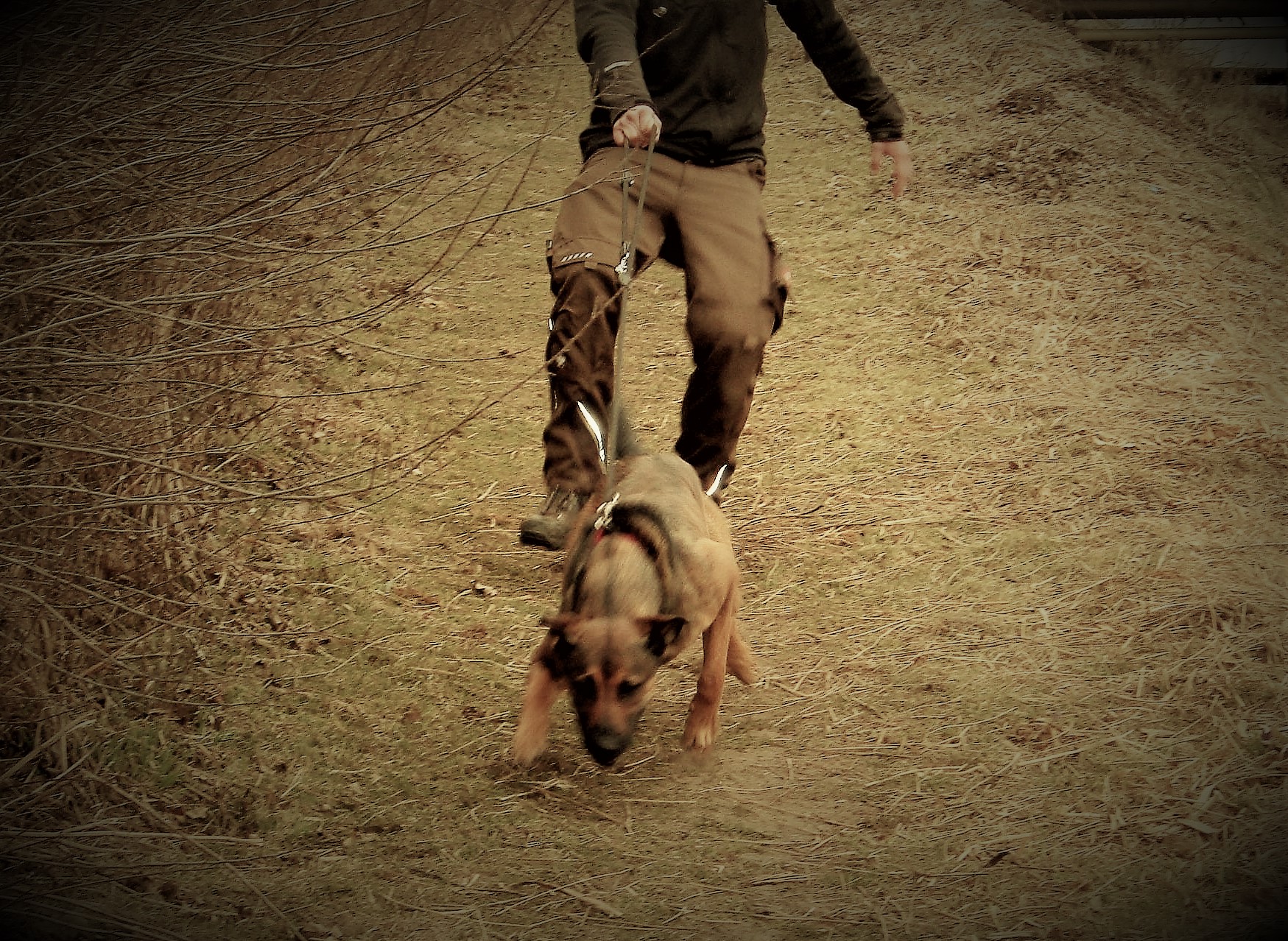 Warum die Unterscheidung von Impulskontrolle und